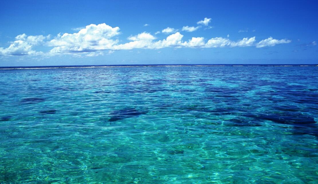 316L竞博电竞首页在海水中是不容易被腐蚀的吗