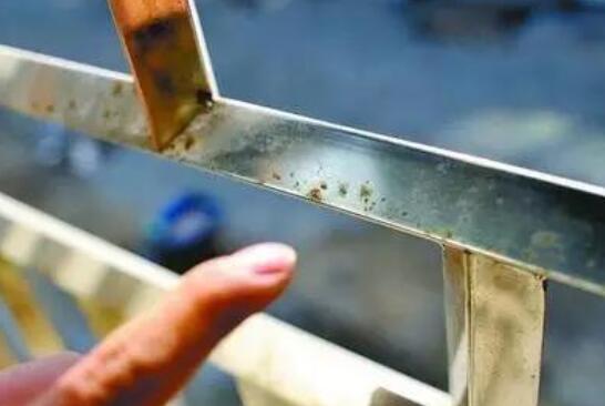 生锈竞博电竞首页管